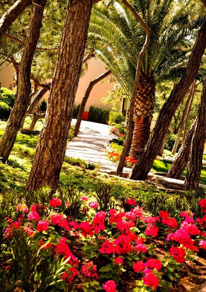 imagini hotel CLUB ASTERIA BELEK